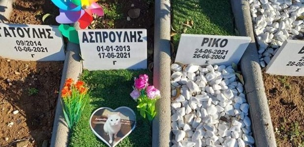 Η Λάρισα δεν έχει κοιμητήριο ζώων 